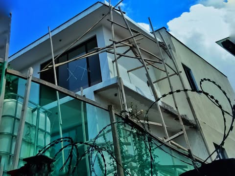 Professional service